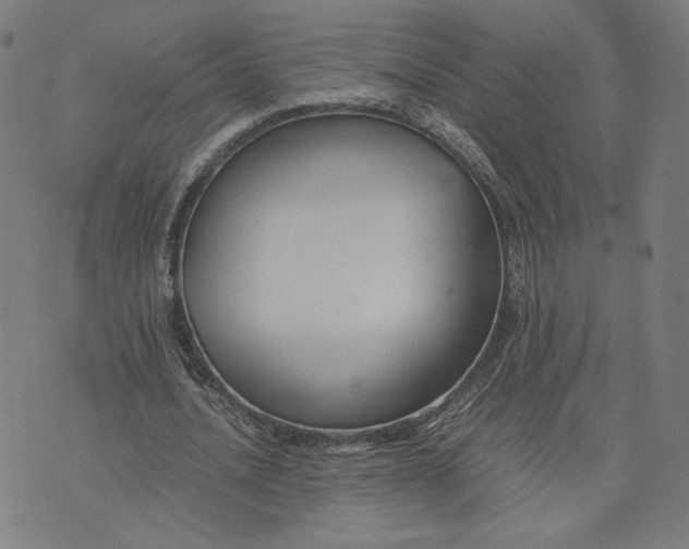 X0000071790628200607211623