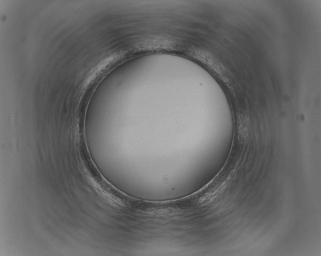 X0000071790629200607211623