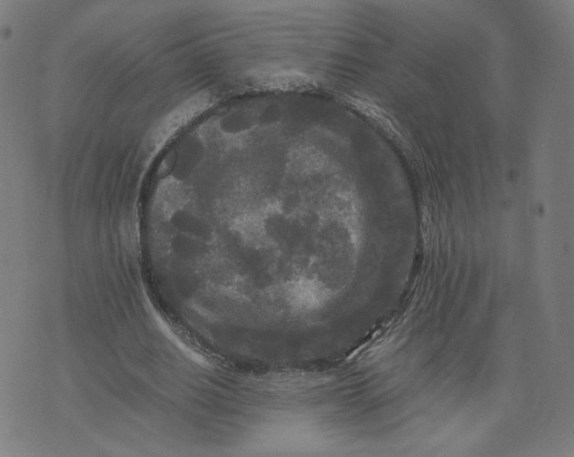 X0000071790630200607211623