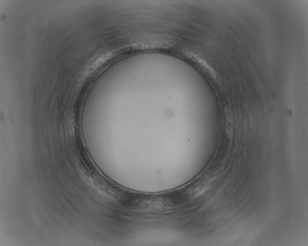 X0000071790631200607211623