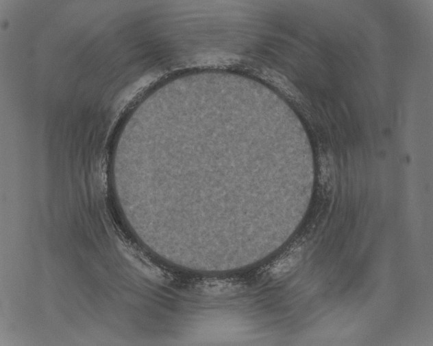 X0000071790632200607211623