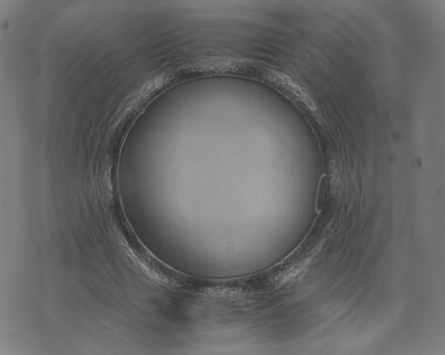 X0000071790633200607211623