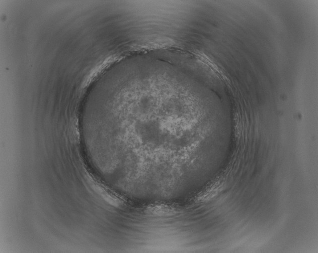 X0000071790634200607211623