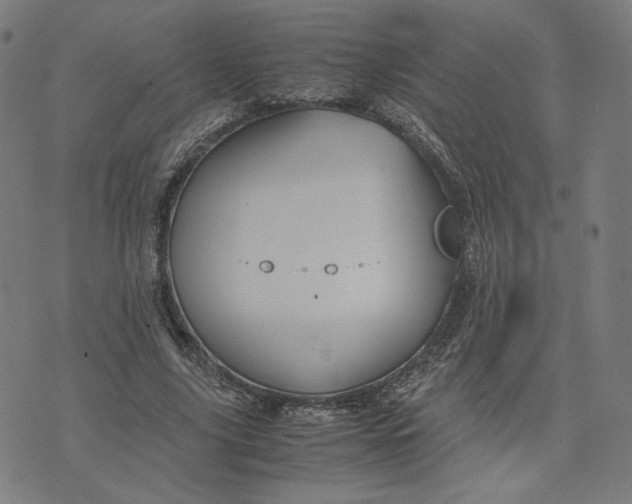 X0000071790635200607211623