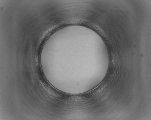 X0000071790636200607211623