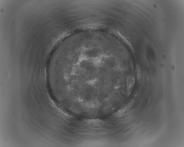 X0000071790637200607211623