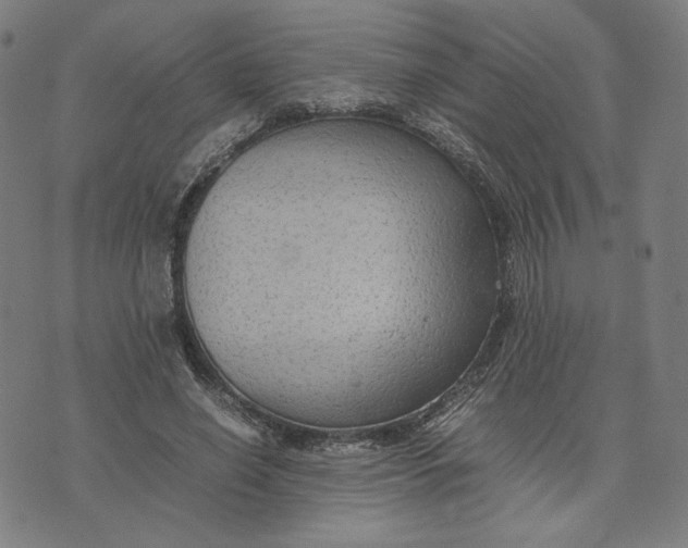 X0000071790638200607211623