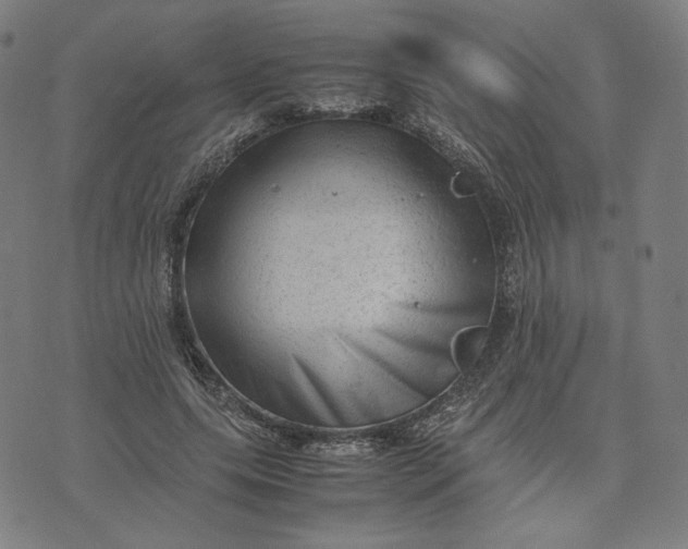 X0000071790639200607211623