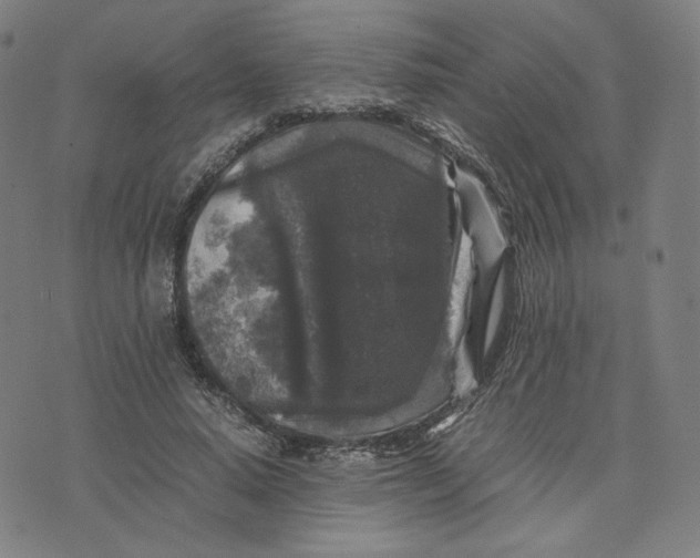 X0000071790640200607211623