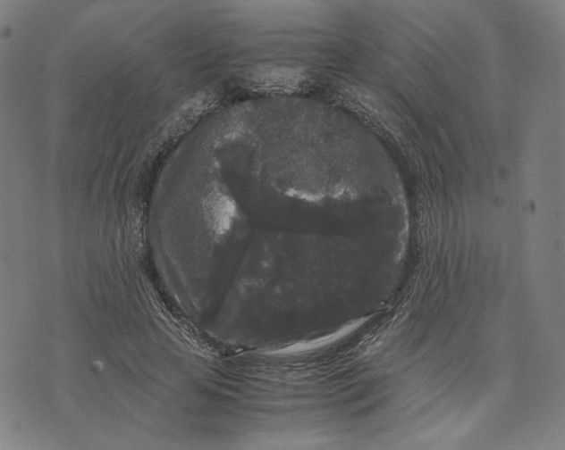 X0000071790641200607211623