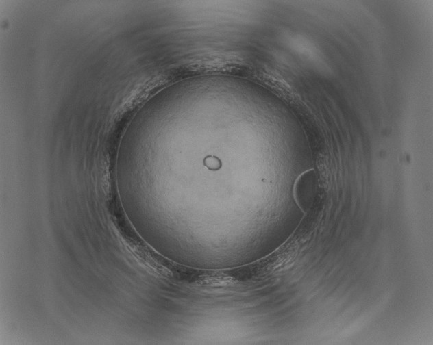 X0000071790642200607211623