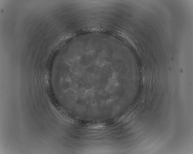 X0000071790643200607211623