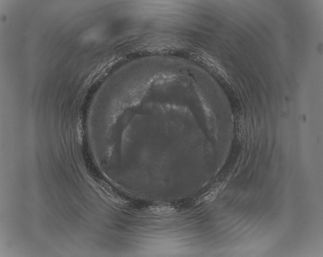 X0000071790644200607211623