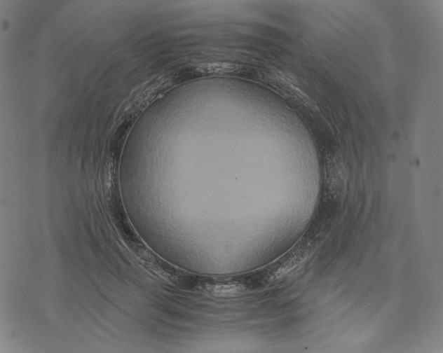 X0000071790645200607211623