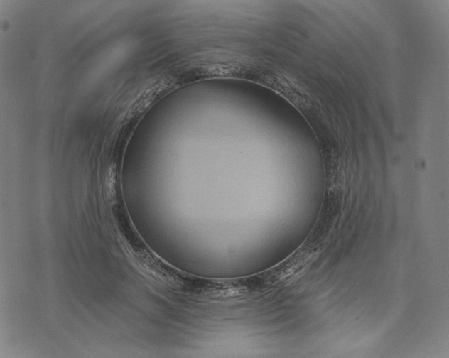 X0000071790646200607211623