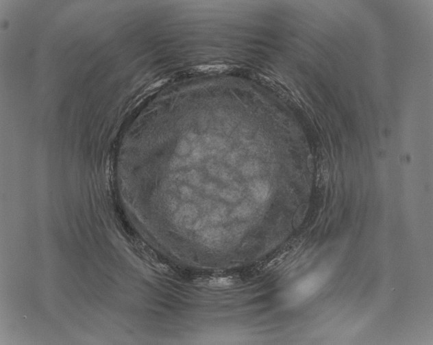 X0000071790647200607211623