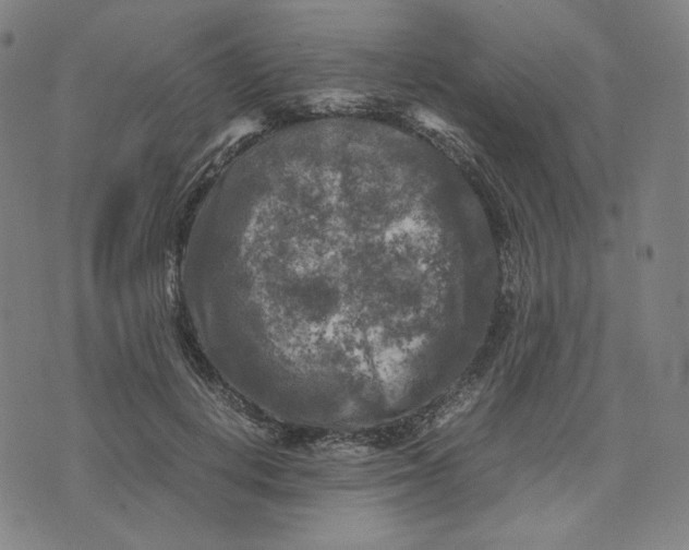 X0000071790648200607211623