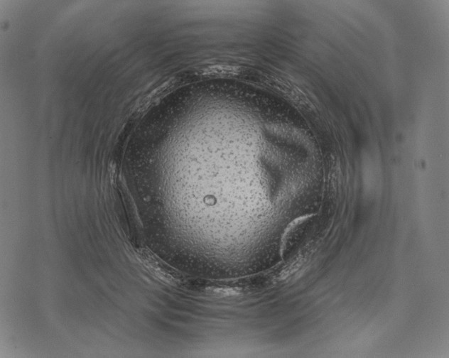 X0000071790649200607211623