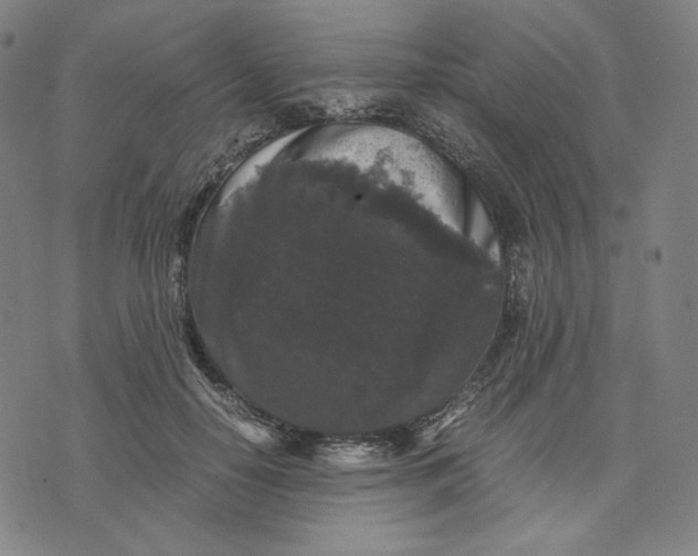 X0000071790650200607211623