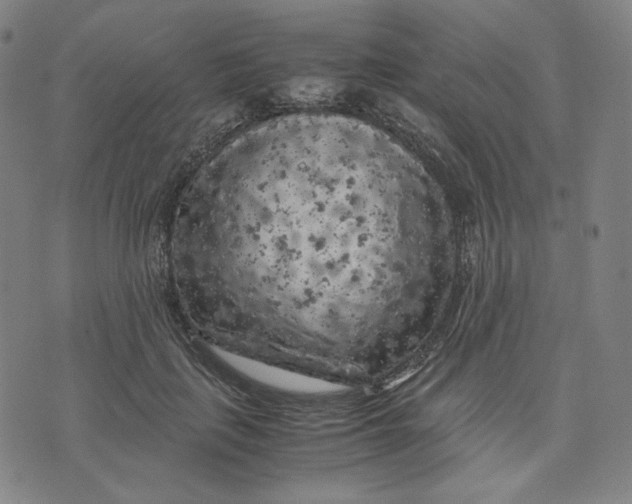 X0000071790651200607211623