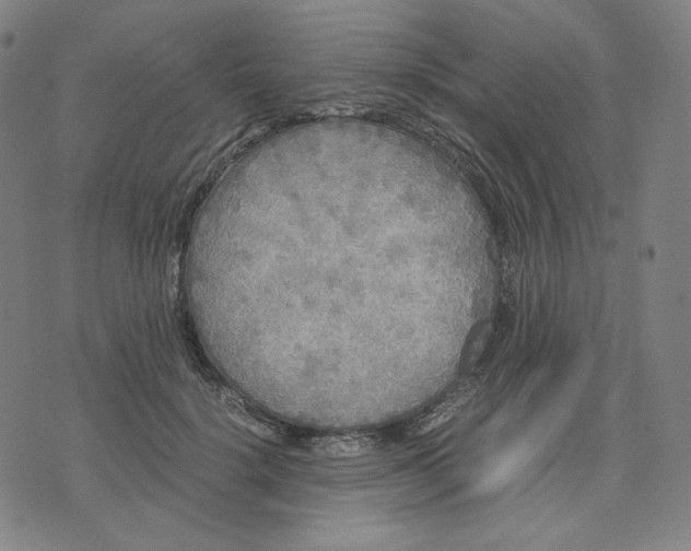 X0000071790652200607211623