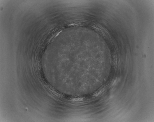 X0000071790653200607211623