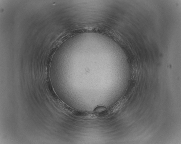 X0000071790656200607211623