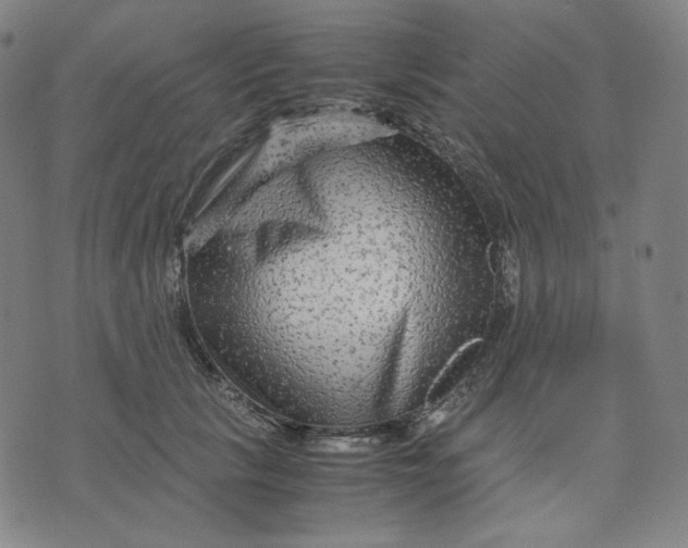 X0000071790657200607211623