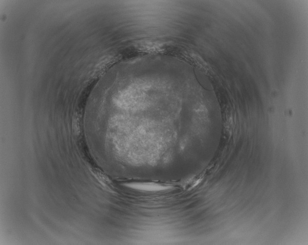 X0000071790658200607211623