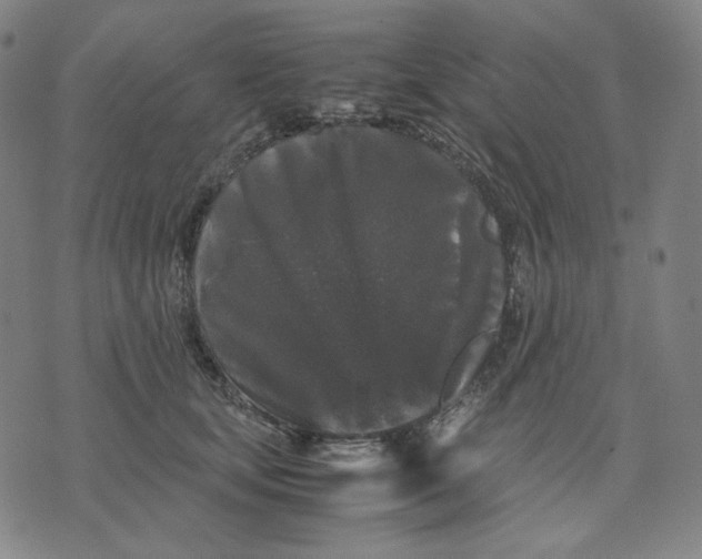 X0000071790659200607211623