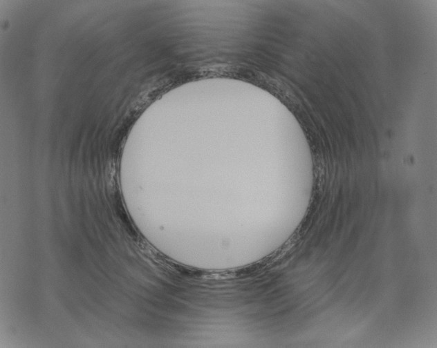 X0000071790660200607211623