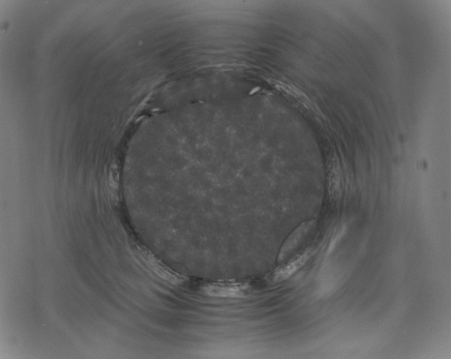 X0000071790661200607211623