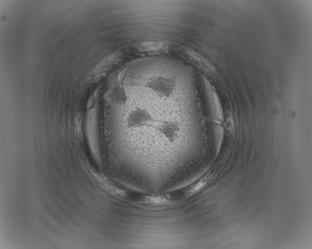 X0000071790662200607211623