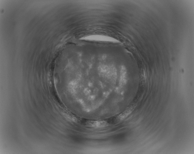 X0000071790663200607211623