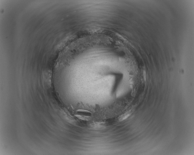 X0000071790664200607211623