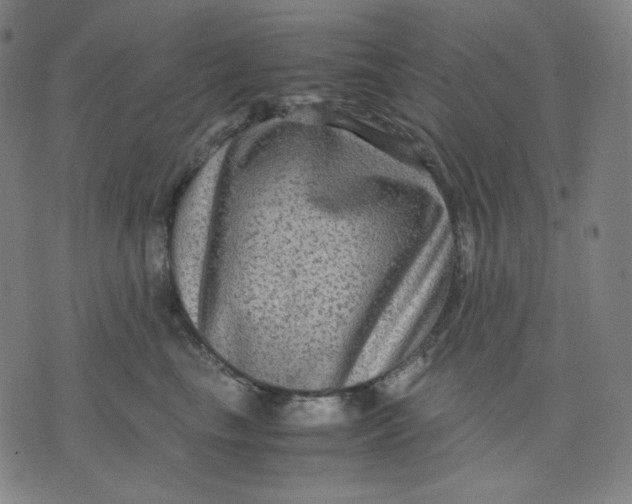 X0000071790665200607211623