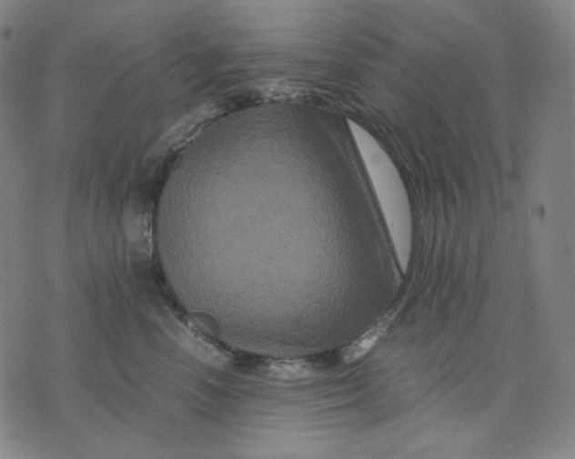 X0000071790666200607211623