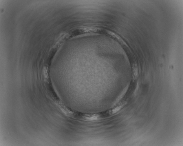 X0000071790667200607211623