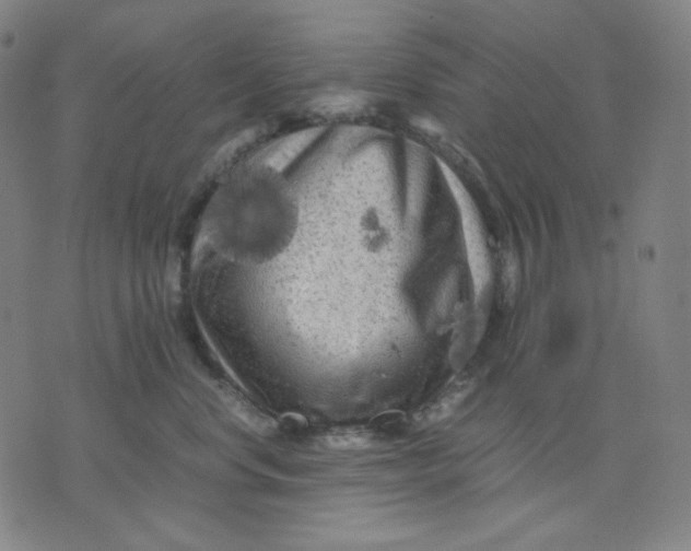 X0000071790668200607211623