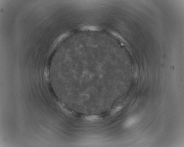 X0000071790669200607211623