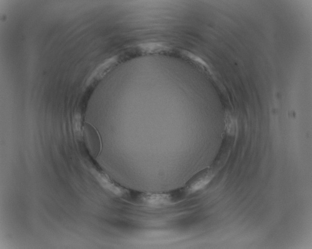 X0000071790670200607211623