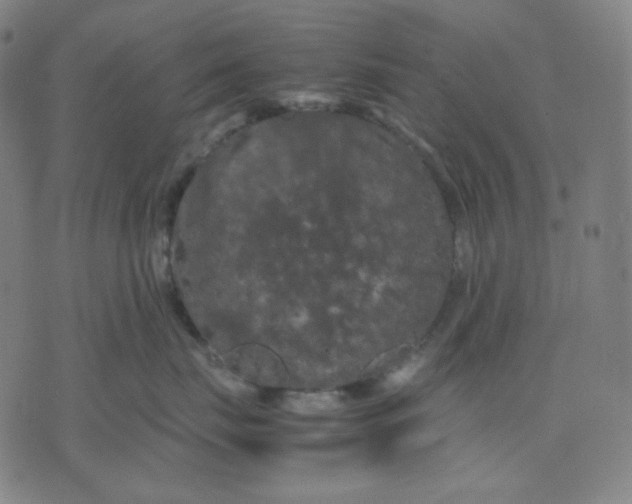 X0000071790671200607211623