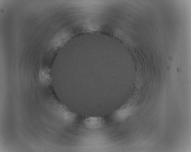 X0000071790672200607211623