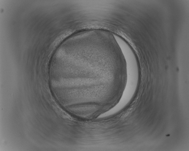 X0000071790673200607211623