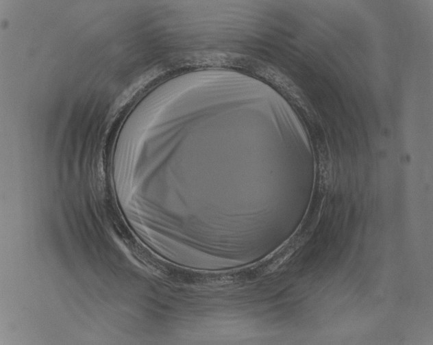 X0000071790674200607211623