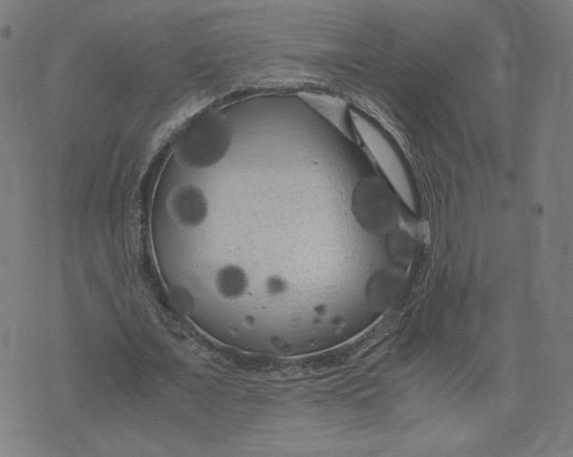 X0000071790675200607211623