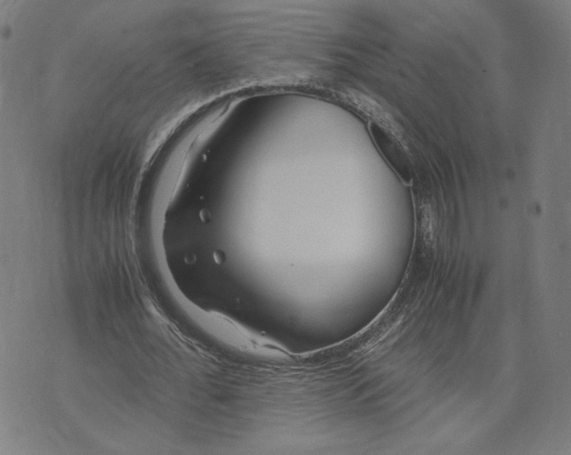 X0000071790676200607211623