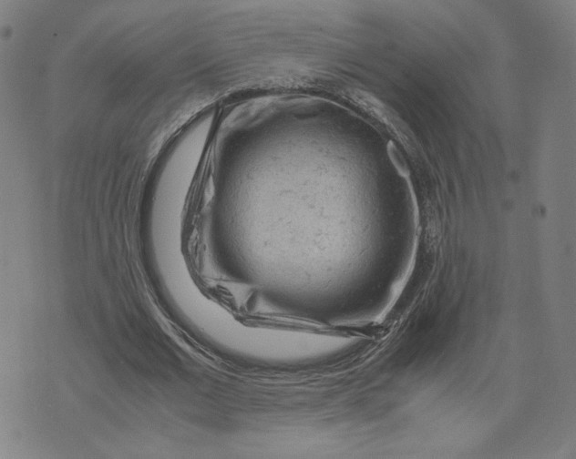 X0000071790677200607211623