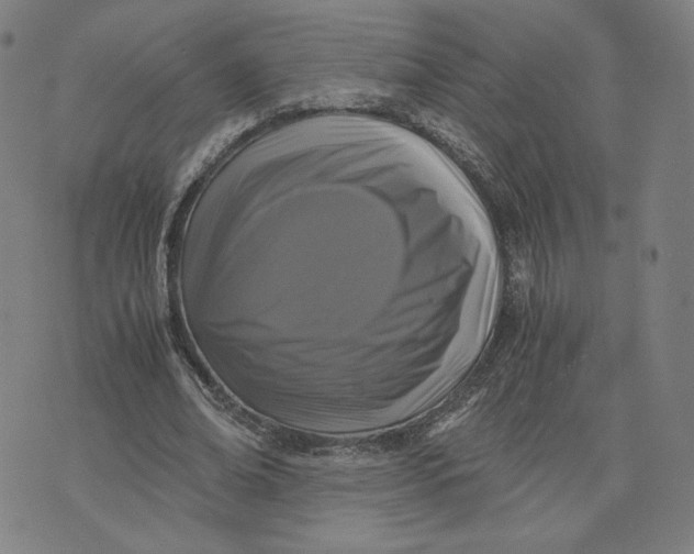 X0000071790678200607211623