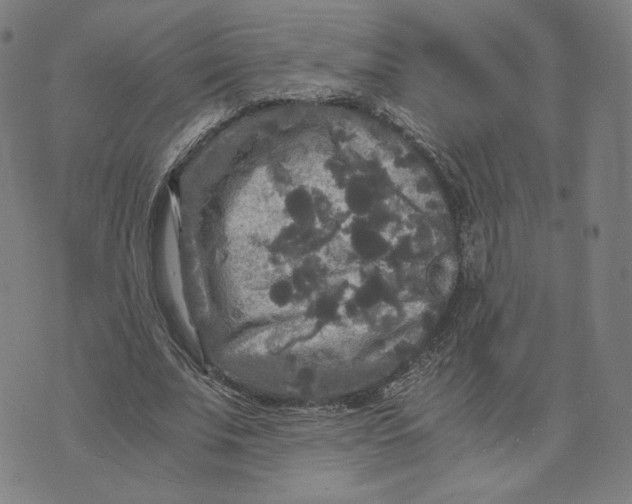 X0000071790679200607211623